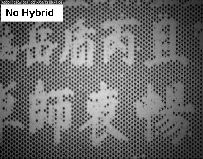 No Hybrid